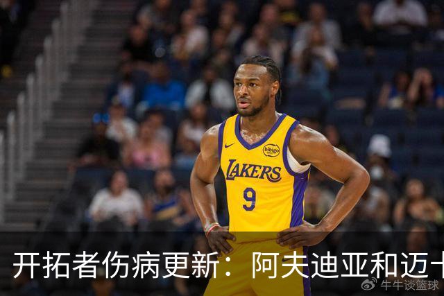 开拓者伤病更新：阿夫迪亚和迈卡·波特已恢复出战状态