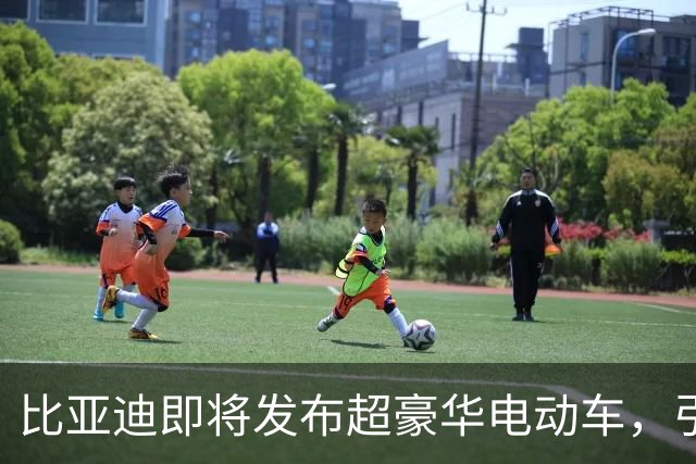 比亚迪即将发布超豪华电动车，引发市场关注